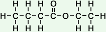 molecular structure of ethyl butanoate